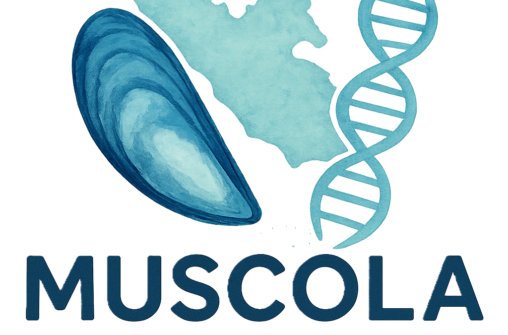Muscola